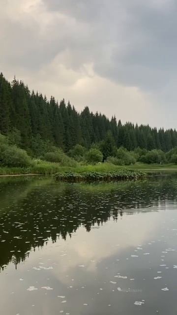 Релакс видео смотреть онлайн