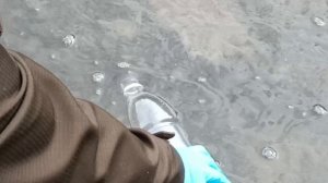 Поселок Плотниково, Кузбасс