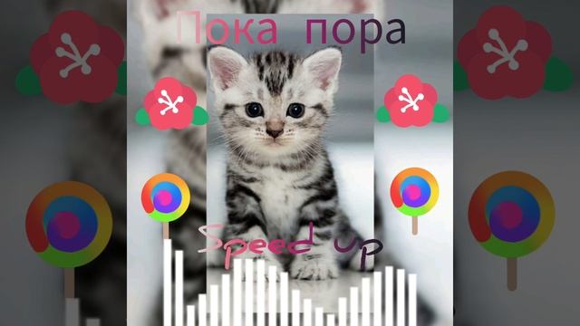пока пора (speed Up) #music #музыка #speedup #спидап #TOP4ИК