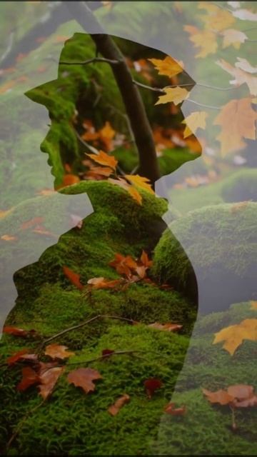 Отражение смотреть онлайн