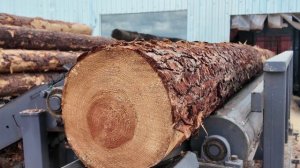 ОКУПАЕМОСТЬ ЗА 3 МЕСЯЦА! ЛЕСОПИЛЬНЫЕ КОМПЛЕКСЫ ТРИУМФ ДЛЯ ПЕРЕРАБОТКИ ЛЕСА