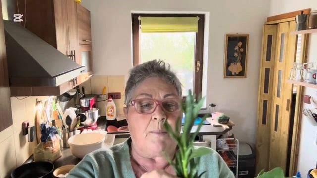 Вареники,терраса,ещё один день… смотреть онлайн