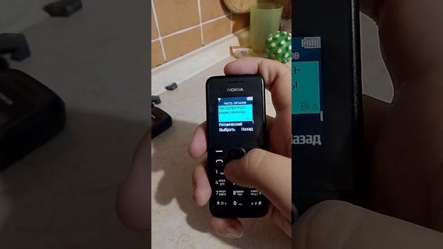 обзор Nokia 105 (2013).