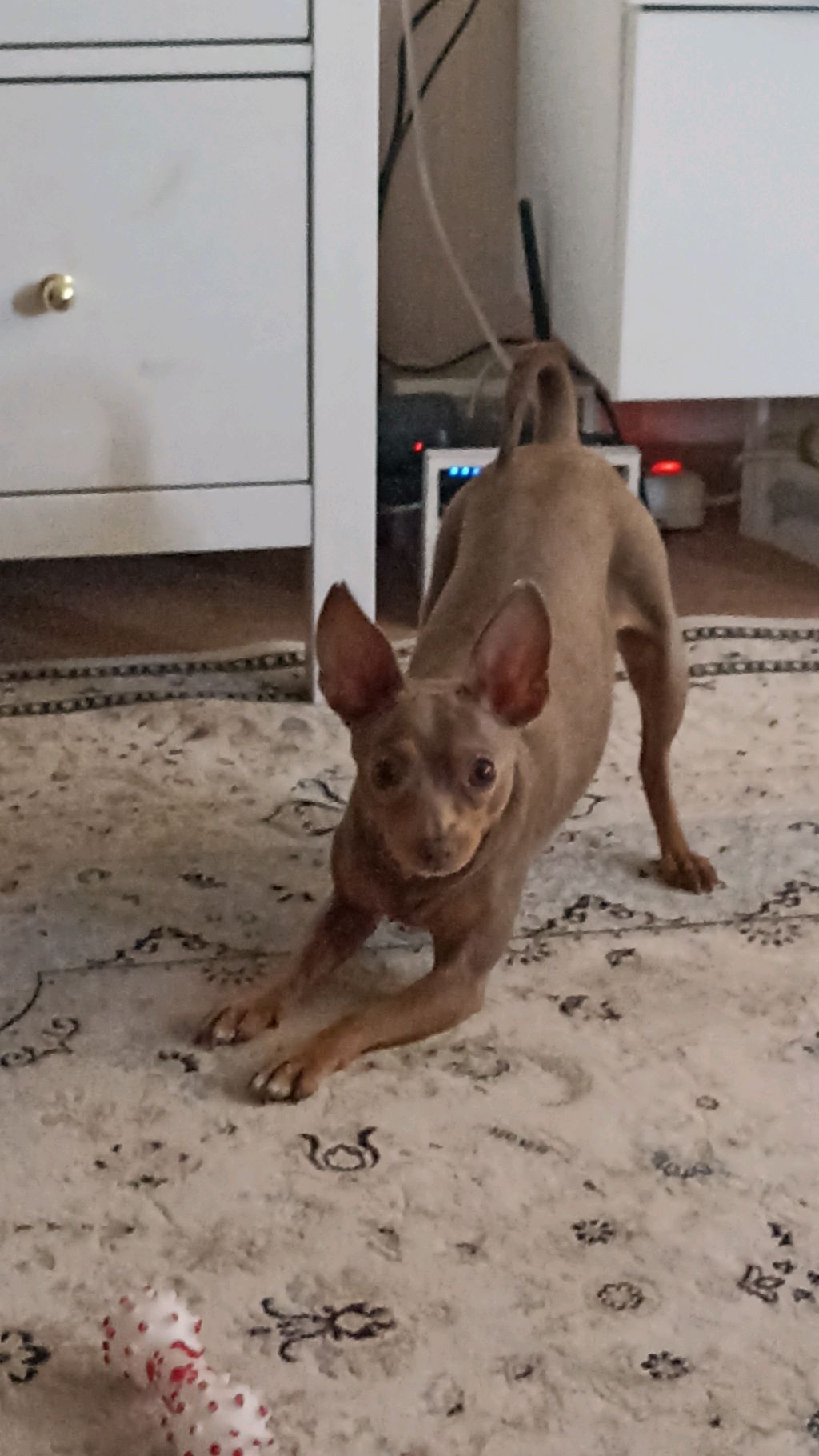 простите за долгое отсутствие смотреть онлайн