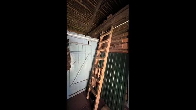 Будогощское городское поселение, деревня Кукуй, улица Хотица смотреть онлайн