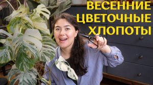 РЕЖУ большую МОНСТЕРУ АЛЬБУ | новые УДОБРЕНИЯ и ПРЕПАРАТЫ  для РАСТЕНИЙ | УЮТНЫЙ зелёный ВЛОГ 🪴