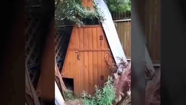 Убираем запахи в туалете