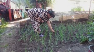 ВСЁ УСПЕЛА, ЖДУ СОСЕДКУ НА ЧАЙ,КУПИЛА ПРОБНИКОВ ДУХОВ,КАНАЛ О ЖИЗНИ