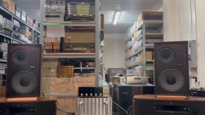 Акустика McIntoch ML-1C