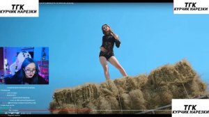 БЕБРИНА СМОТРИТ - ГОСПОЖА ЭВЕЛИН - МОЖНО (ПРЕМЬЕРА КЛИП