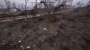 СТАЛКЕР 2, ТАЙНИК, ХАБАР, НЫЧКИ,  ВИНТОВКА "ДНИПРО" + все ?