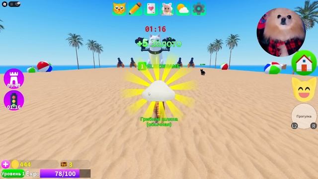 ШКОЛА КОТЯТ В РОБЛОКС! ОБНОВЛЕНИЕ ИГРА С КОТЯТАМИ В РО?