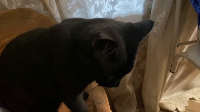 🍺 23. Мы снова в бане! В этот раз не пью, пробую старомин