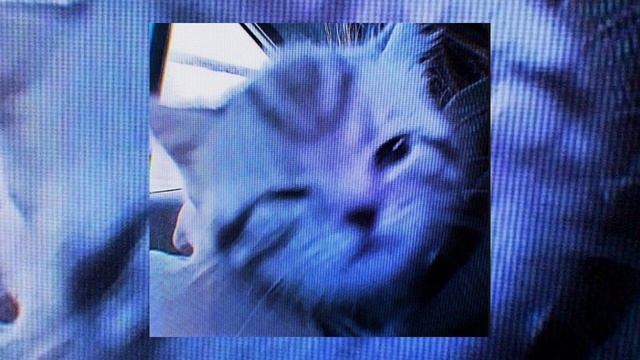 элджей-дисконнект //sped up// смотреть онлайн