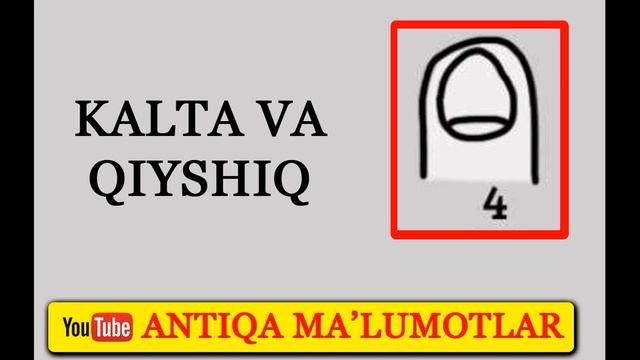 Psixologik Test: Tirnoqlaringiz Kimligingizdan So'zlaydi | Психологик тест: Тирноклариз канака?