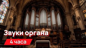 Звуки для соседей - звуки органа