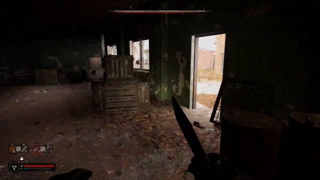 9 NON STOP LIMITED EDITION Янтарь Аграрный Цех S.T.A.L.K.E.R. 2: Heart Of Chornoby