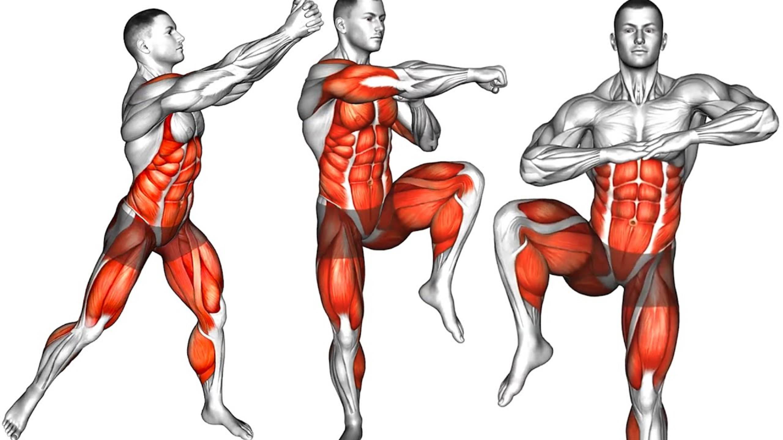 10 Лучших Упражнений которые можно выполнять Стоя смотреть онлайн