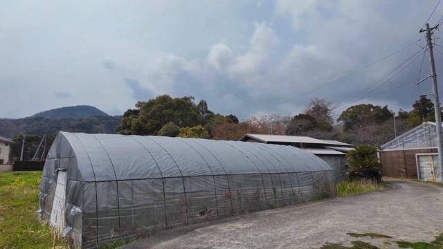 Прогуляйтесь по живописным улочкам, тихого городка Кавадзу)= смотреть онлайн