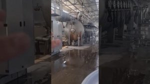 Как окрашивают ткань?