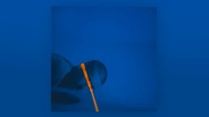 ROBY - На завтра