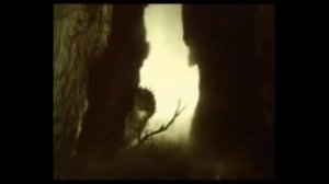 Ежик в тумане и Rammstein