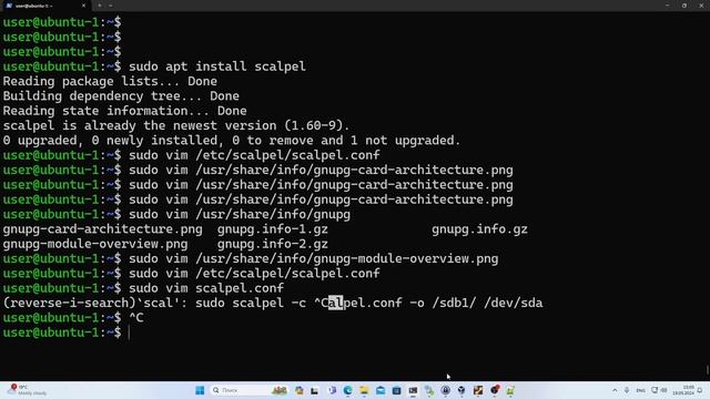 Восстановление удалённых файлов в Linux (Scalpel) смотреть онлайн