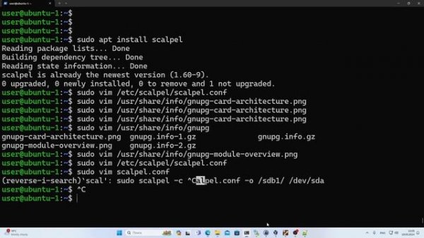 Восстановление удалённых файлов в Linux (Scalpel)