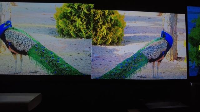 Сравнение 4K проекторов Changhong D6U и Samsung SP-LSP7T смотреть онлайн