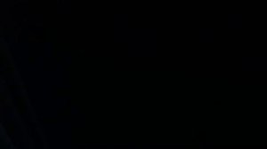 Выживший 2  / The Revenant 2