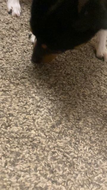 Послушай-ка