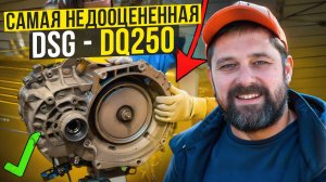 DSG-6 DQ250 - невероятно живучая! Пробег 250 тыс на стейдже!