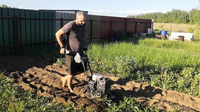 Пашем с другом участок под картошку. Культиватор - это мощь!