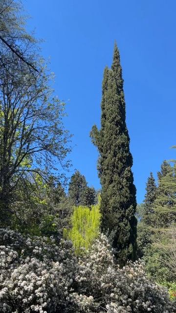 Отвлекитесь на минутку и просто прислушайтесь. Так звучит «Парковая Резиденция» 🍃