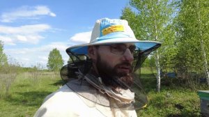 Формирование отводков за неделю до выхода маток. Мощный взяток. Выпал снег