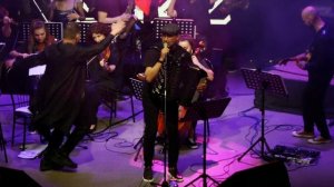 Хали-гали, паратрупер - баян с оркестром