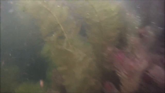 Скалолазание