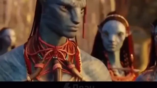 Хватит пить! Вы же синие!