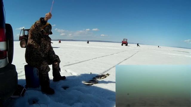 Весна пришла и рыба. Ворона воровка. смотреть онлайн