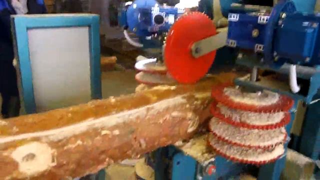 ДИСКОВЫЙ БРУСУЮЩИЙ СТАНОК «АВАНГАРД-СДБ-260»