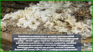 Что лечит каменное масло?