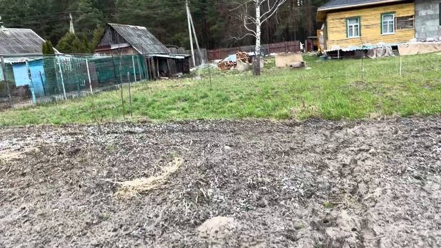 ПП ТОРТ🍰• КАКИЕ ВИТАМИНЫ ПРОПИВАЕМ 💊• ЗАКАЗАЛИ РОЛ