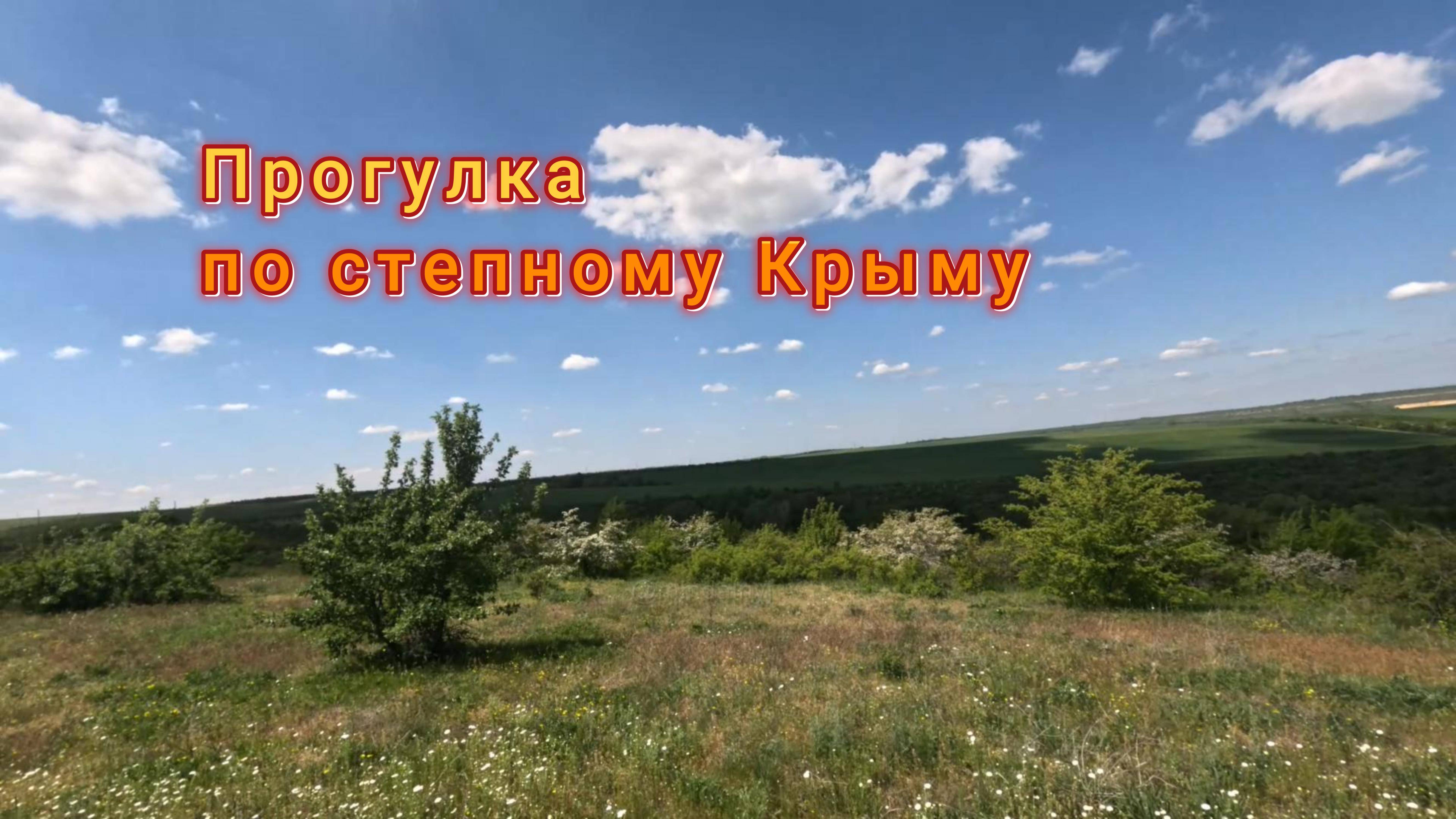 Вело прогулка по крымской степи (конец апреля): зелень, цветение, виды