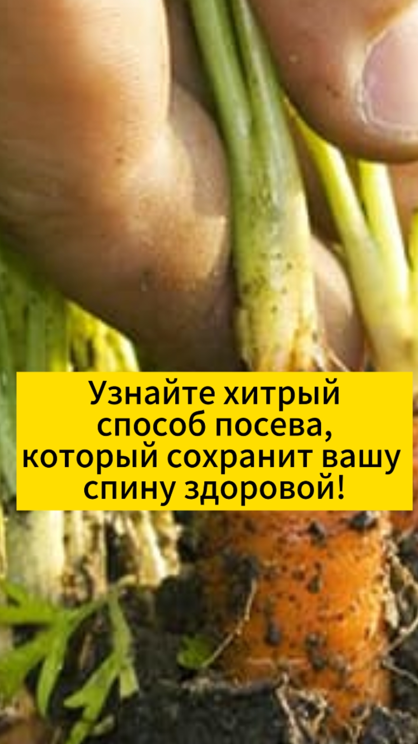 Узнайте хитрый способ посева, который сохранит вашу спину здоровой смотреть онлайн