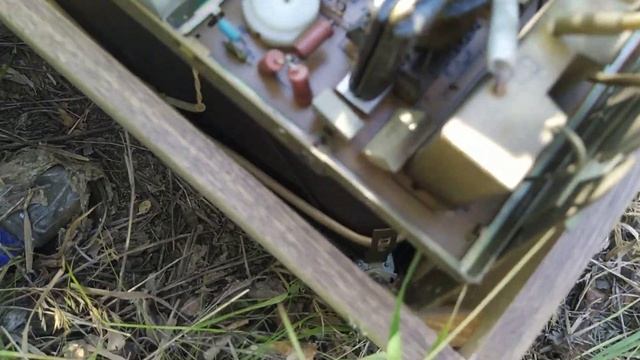 НАХОДКА В ПРИДОРОЖНОЙ ЛЕСОПОЛОСЕ ТЕЛЕВИЗОР ТАУРАС ТЦ- смотреть онлайн