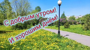 С ДОБРЫМ УТРОМ, ХОРОШИЕ ЛЮДИ!