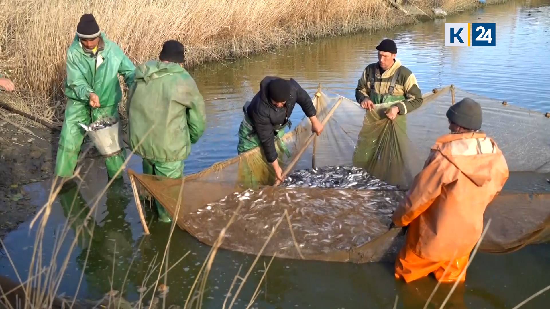 Мир сельского хозяйства. №74 Рыба