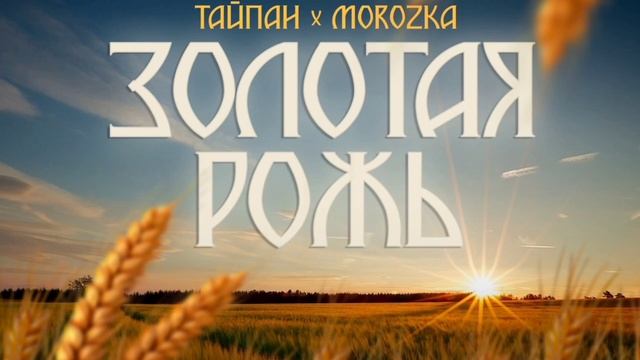 Тайпан, MorozKA - Золотая рожь | Премьера трека, 2024