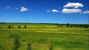 Василий Еремеев - Сайылык (текст песни)