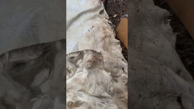 Винтажный итальянский матрас с овечьей шерстью смотреть онлайн